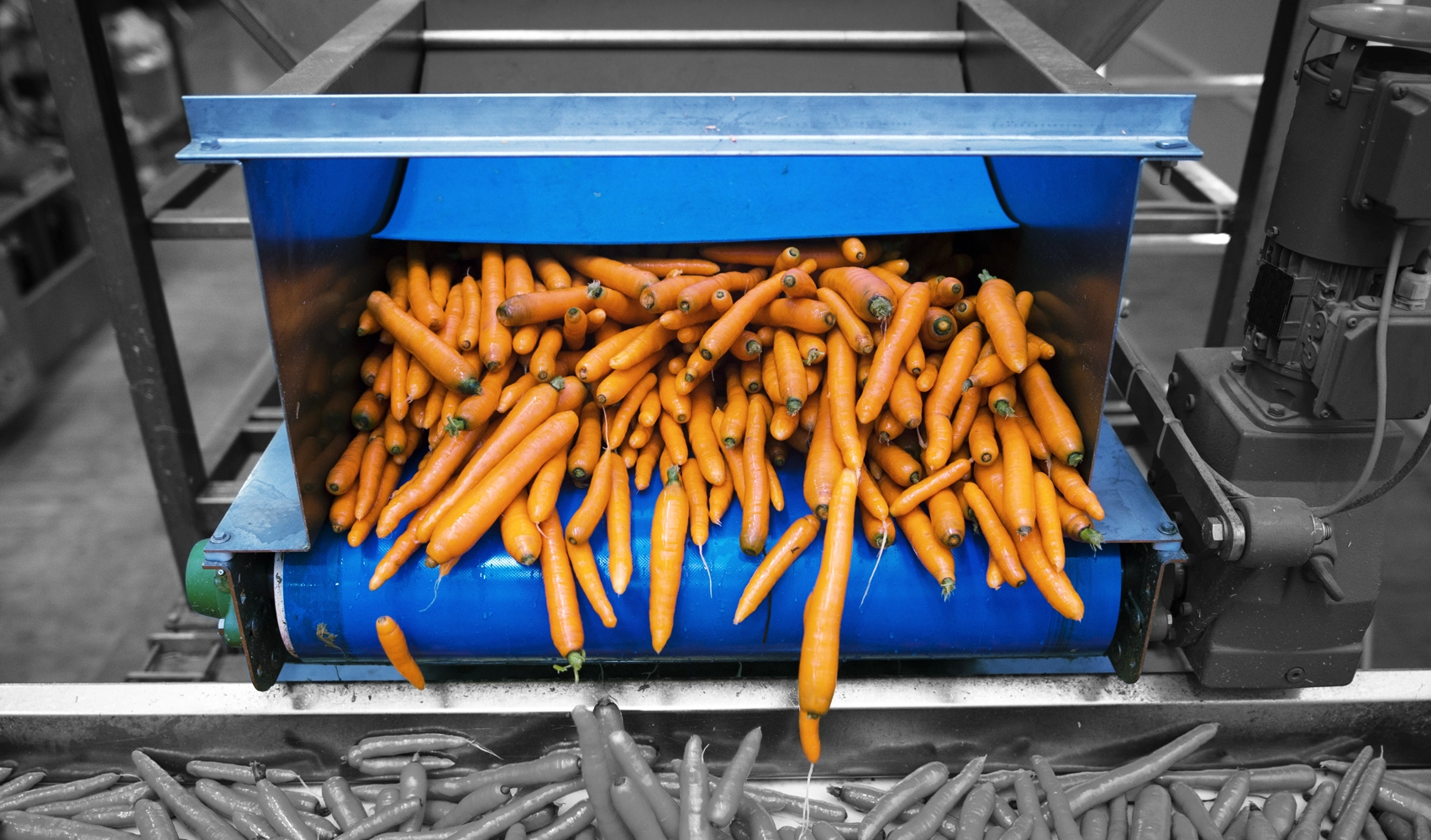 Food Processing